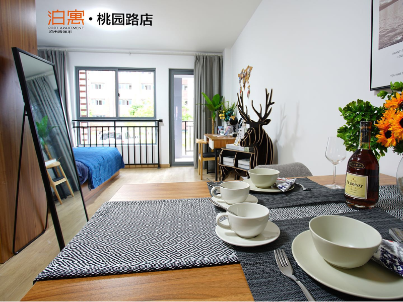 优选阳光舒适一房 · 泊寓-桃园路店