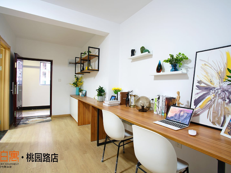 标准阳光两房 · 泊寓-桃园路店