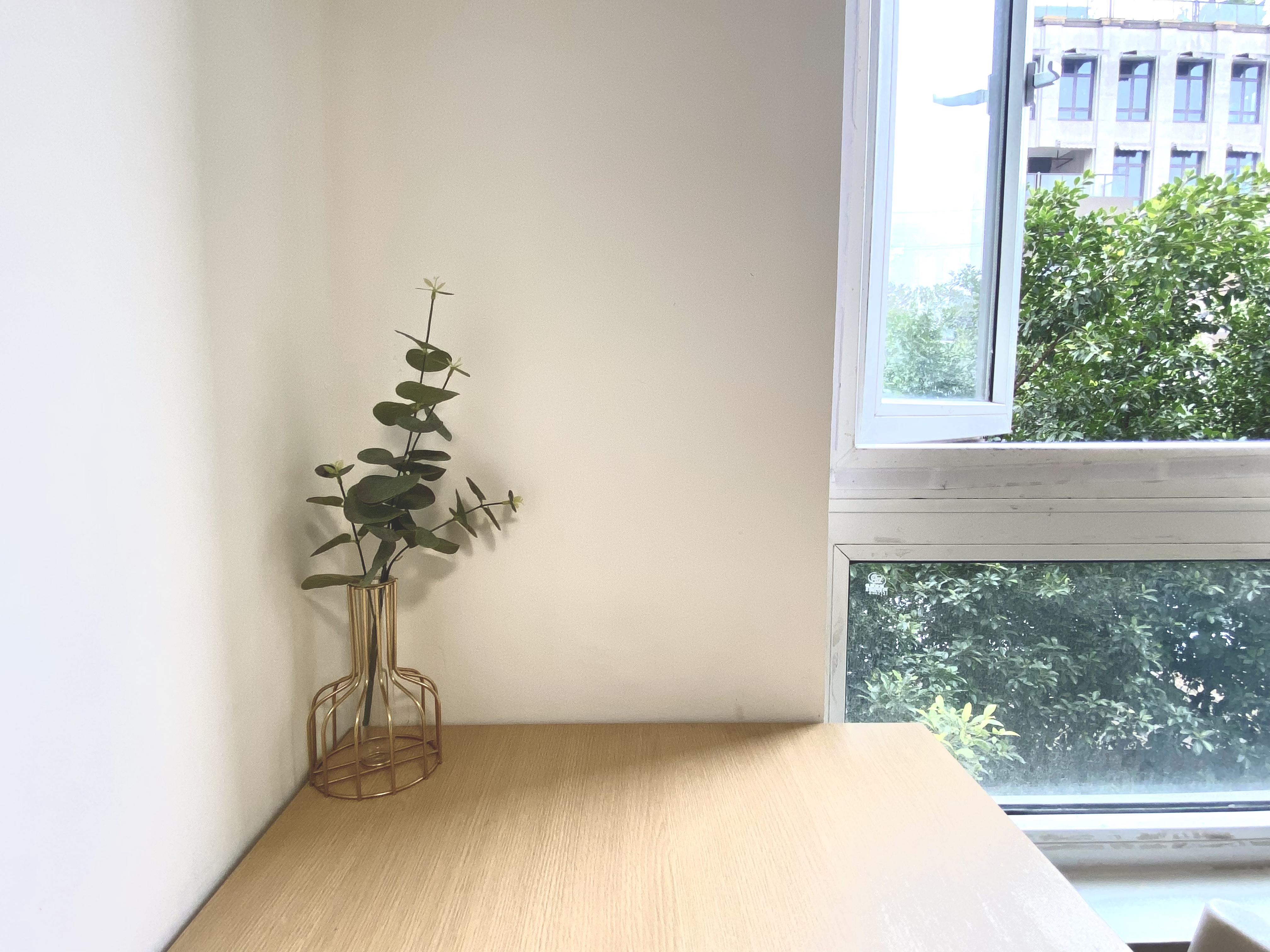 标准阳光单间 · 泊寓-总部城店