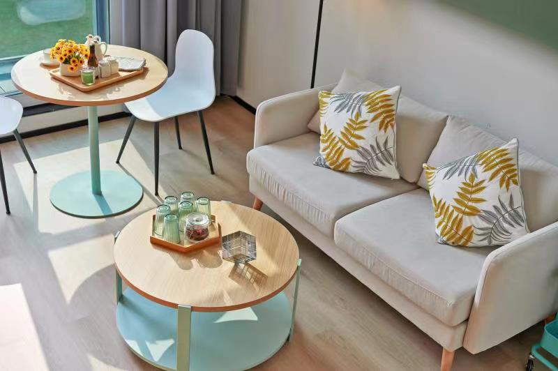 优选温馨健康一房loft · 泊寓奥体店