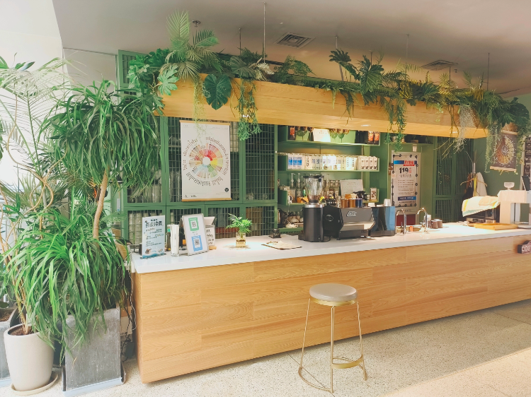 标准阳光单间 · 泊寓-安贞店