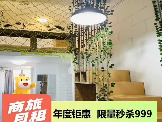 优选幽雅loft
