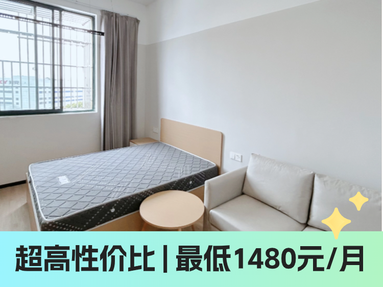 标准温馨一房
