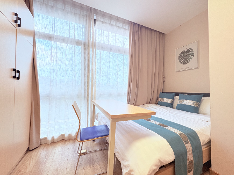 经济阳光C户型 · 泊寓-α景芳店