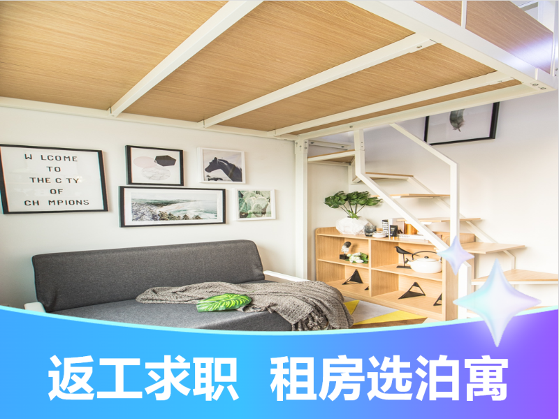标准幽雅loft