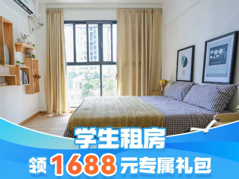 标准阳光单间