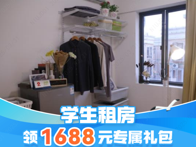 标准温馨单间