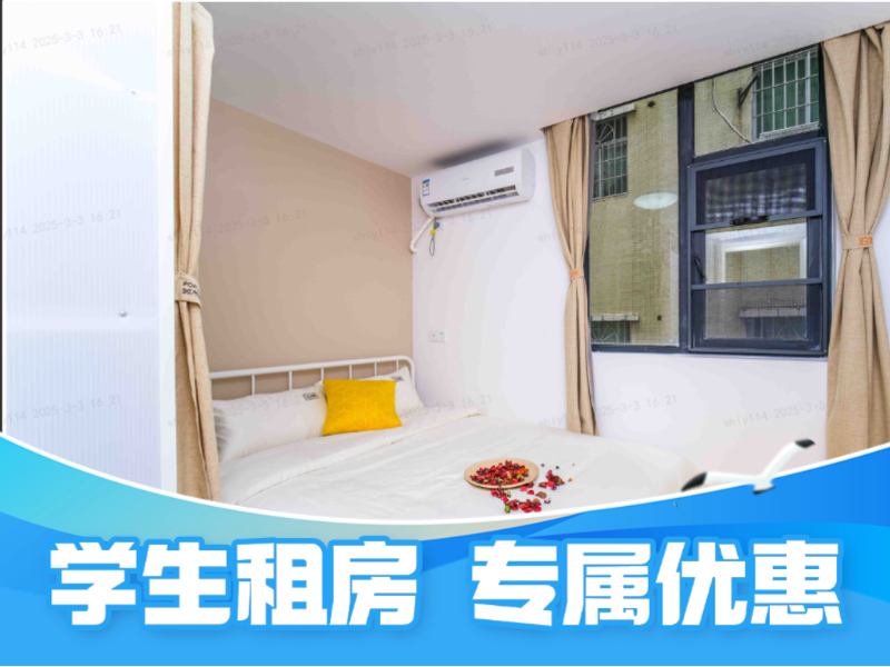 标准舒适一房