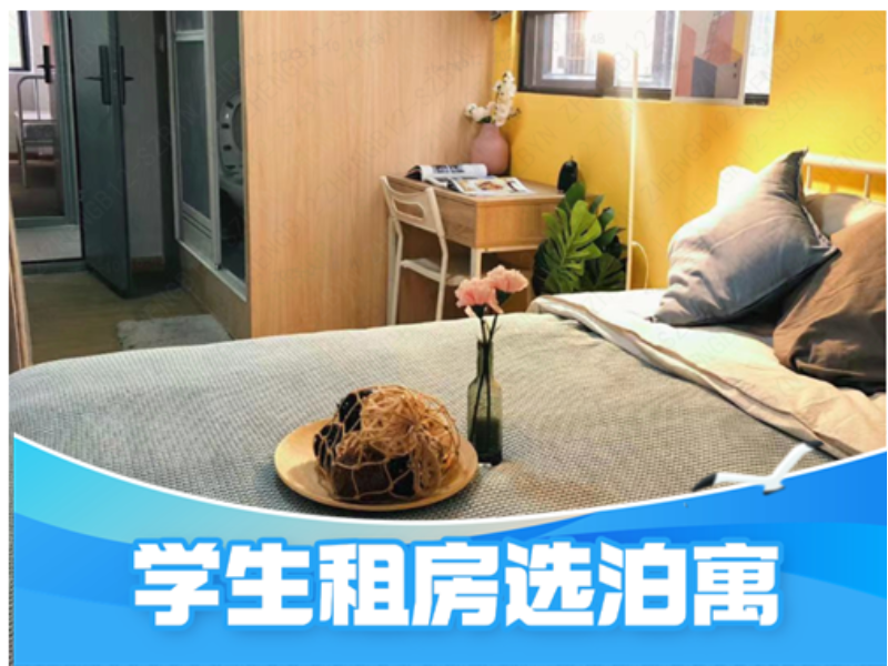 优选LOFT单间 · 泊寓-坂田岗头地铁站店