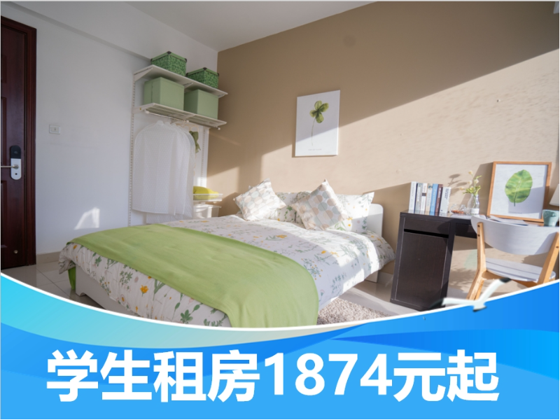 标准阳光单间（套间）