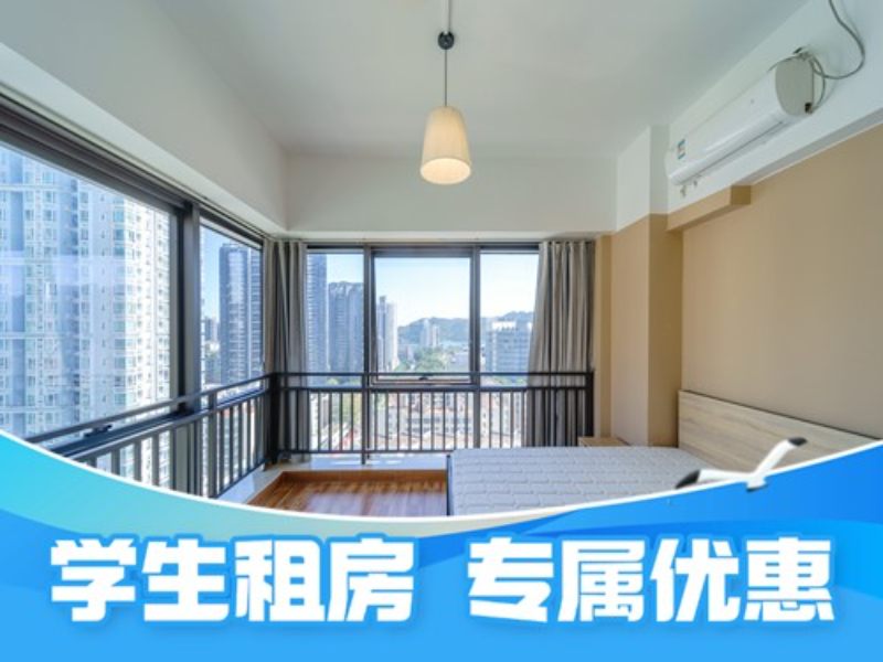 优选阳光一厅一房