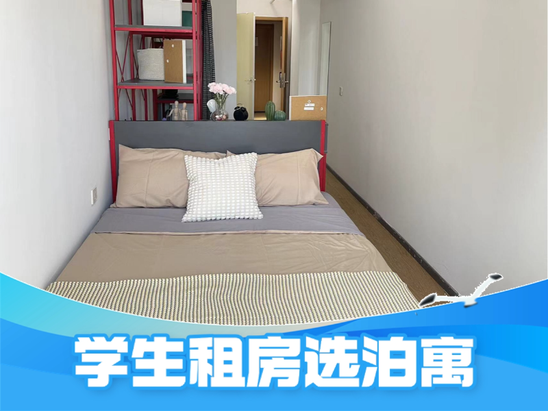 标准阳光单间