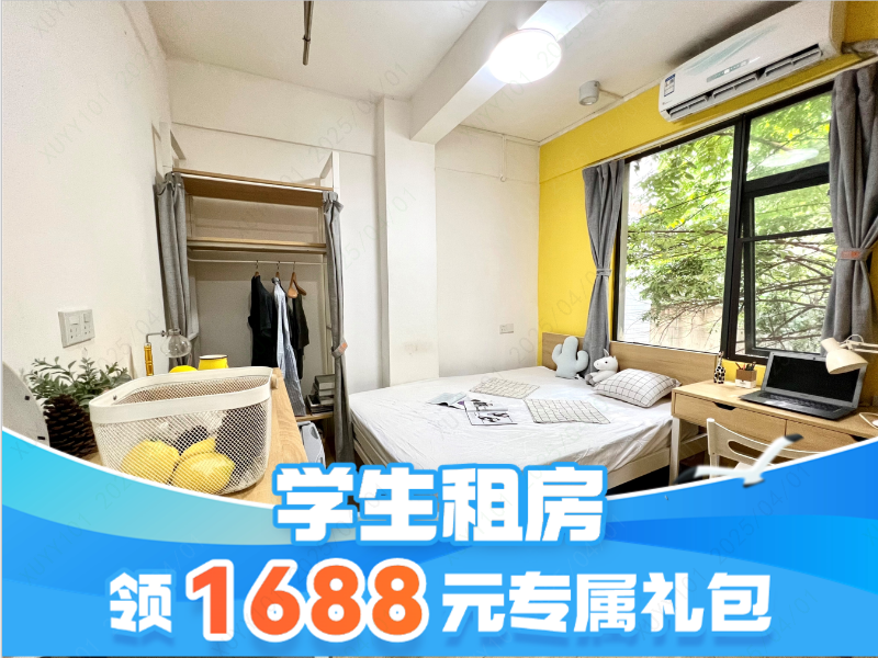 标准阳光单间