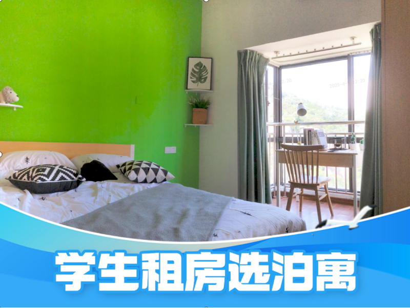 标准阳光单间