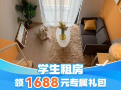 标准幽雅loft·泊寓-逢源店