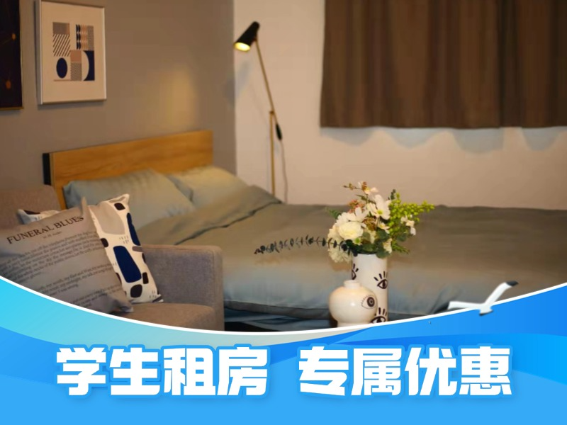 标准幽雅一房