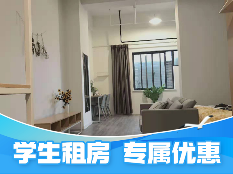 标准阳光loft