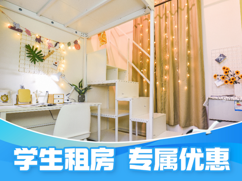 标准幽雅loft