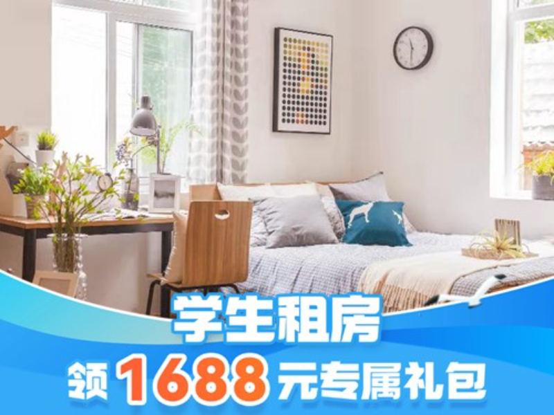 标准幽雅一房loft
