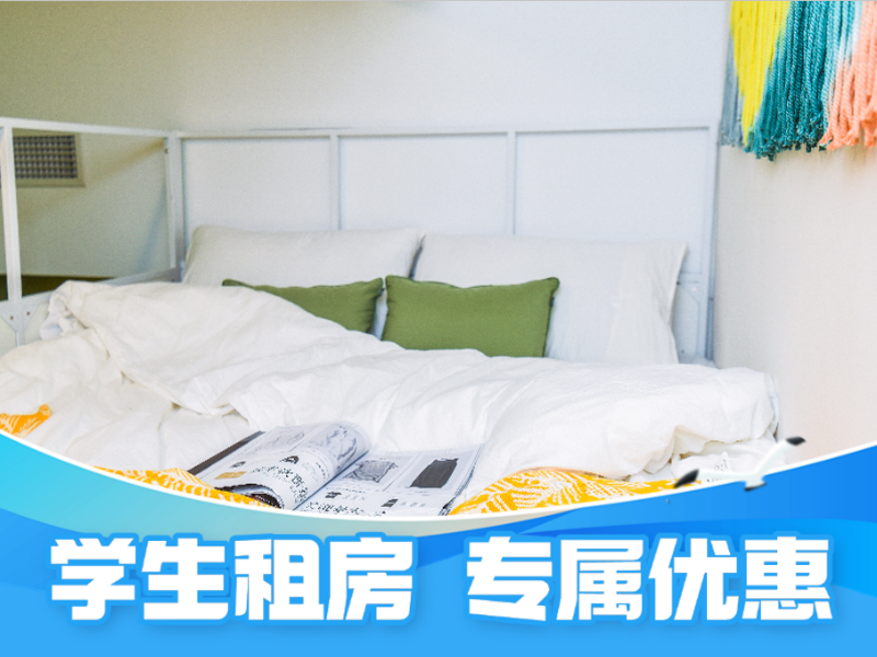 经济幽雅loft