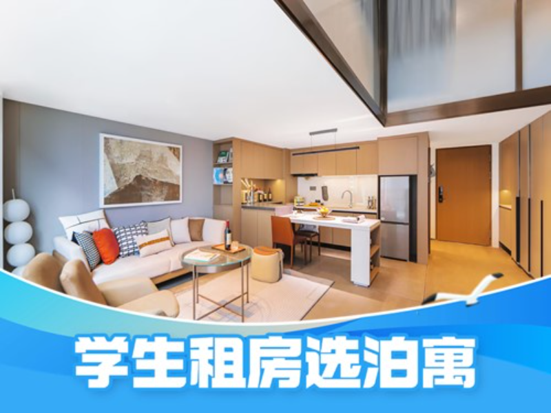 优选温馨豪华两房