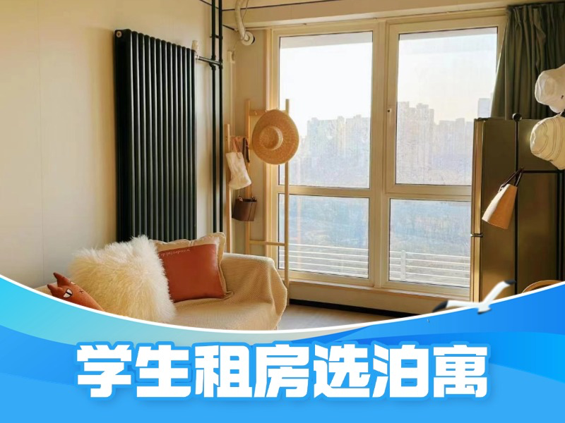标准温馨一房