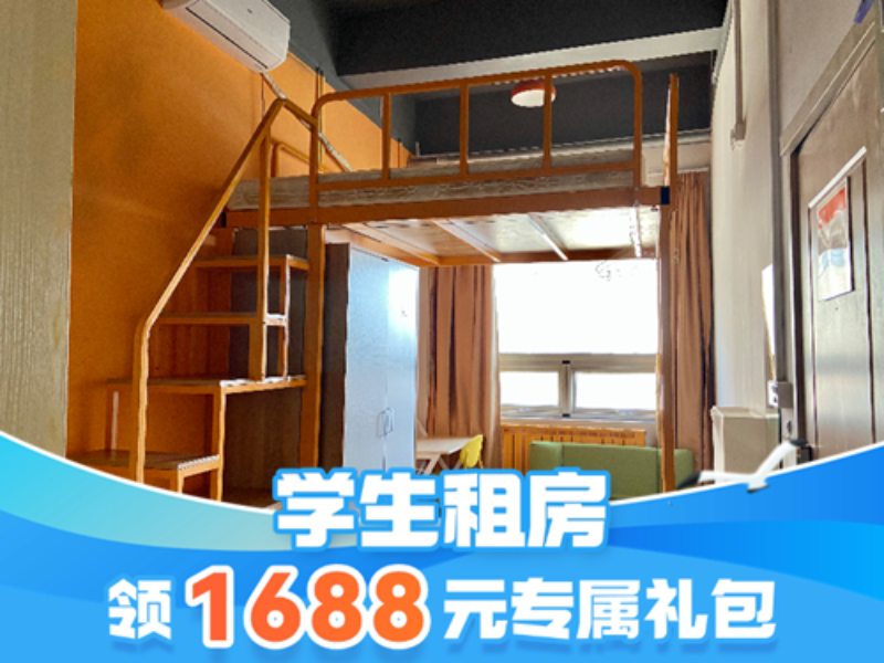 经济阳光宽敞loft
