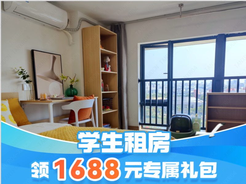 标准阳光单间