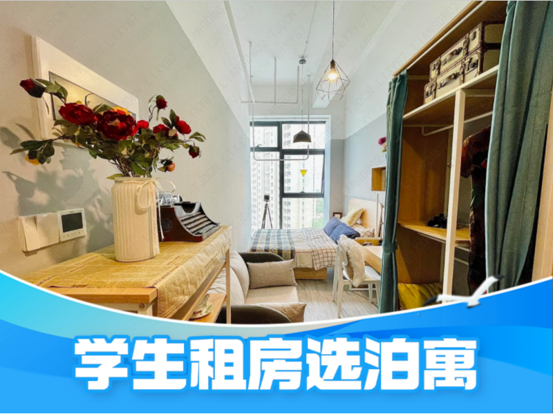 单间B · 泊寓-新都会店