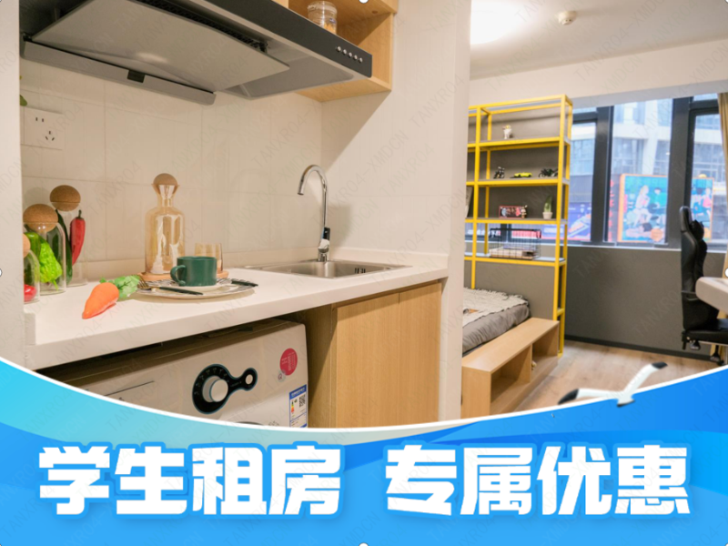 标准阳光潮玩单间