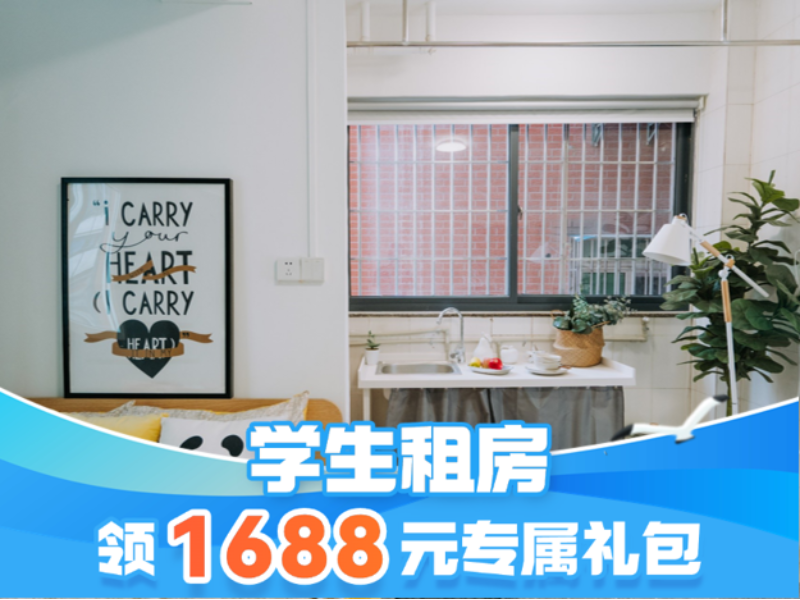 标准温馨一房