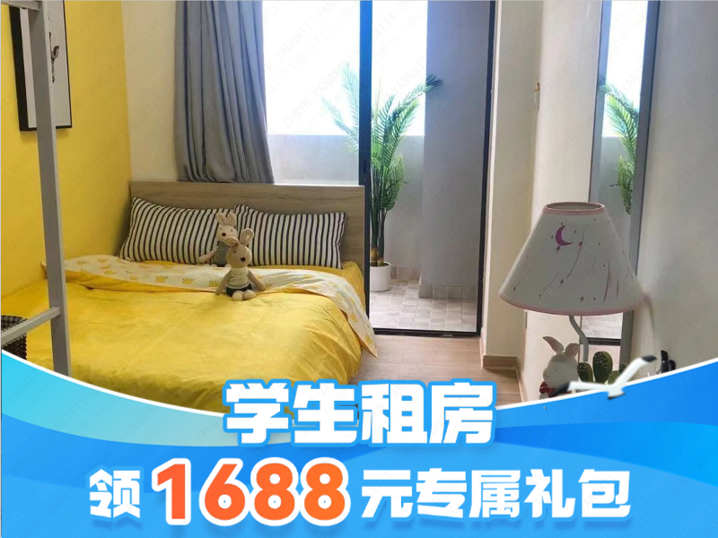 标准阳光单间