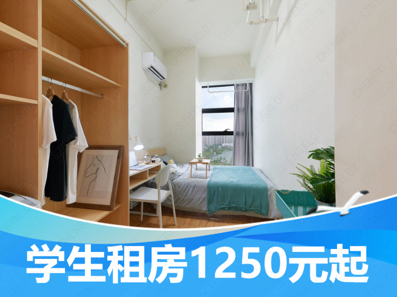 标准温馨单间