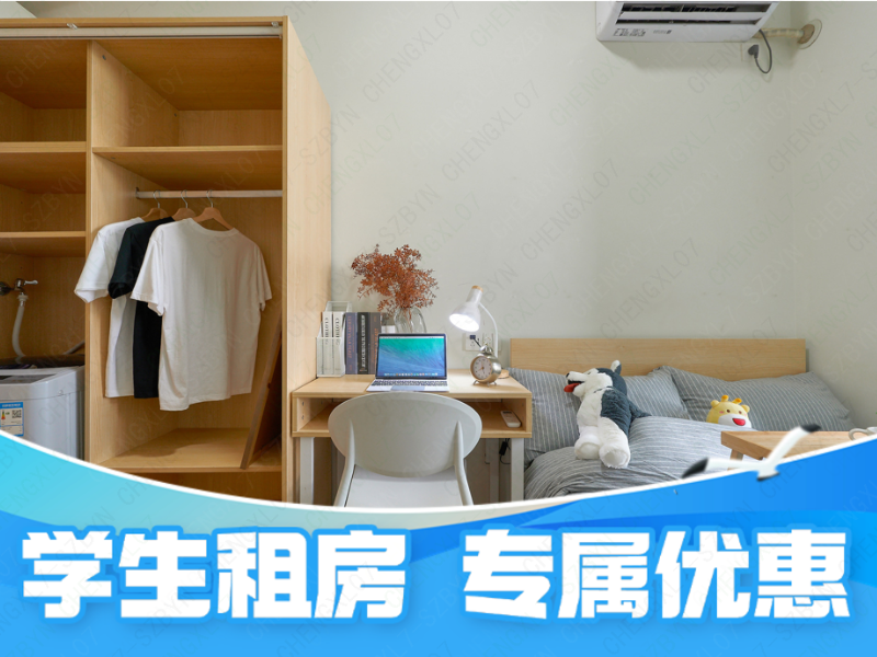 标准阳光单间