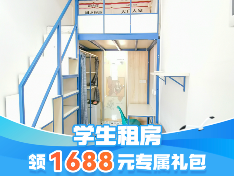 标准幽雅loft