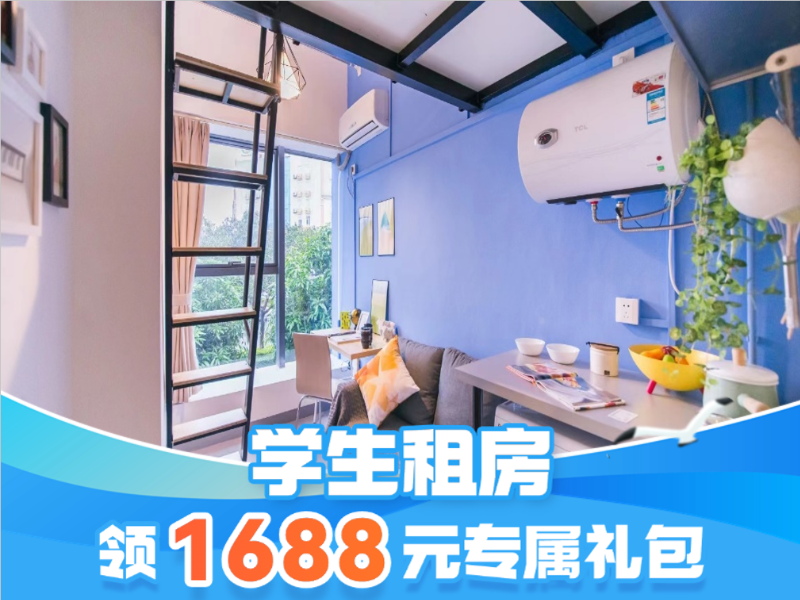 经济幽雅loft