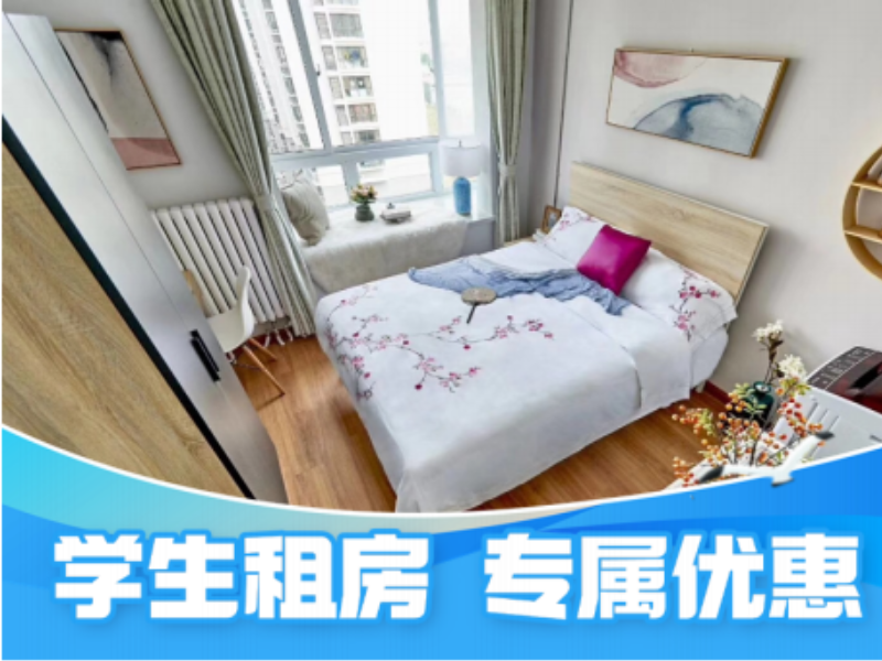 经济温馨单间E · 泊寓-华苑天业店