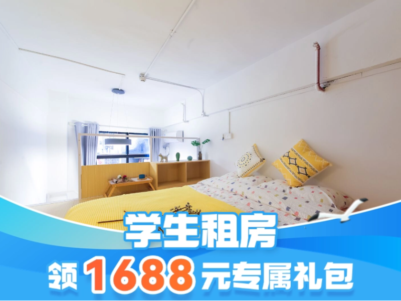 经济阳光loft