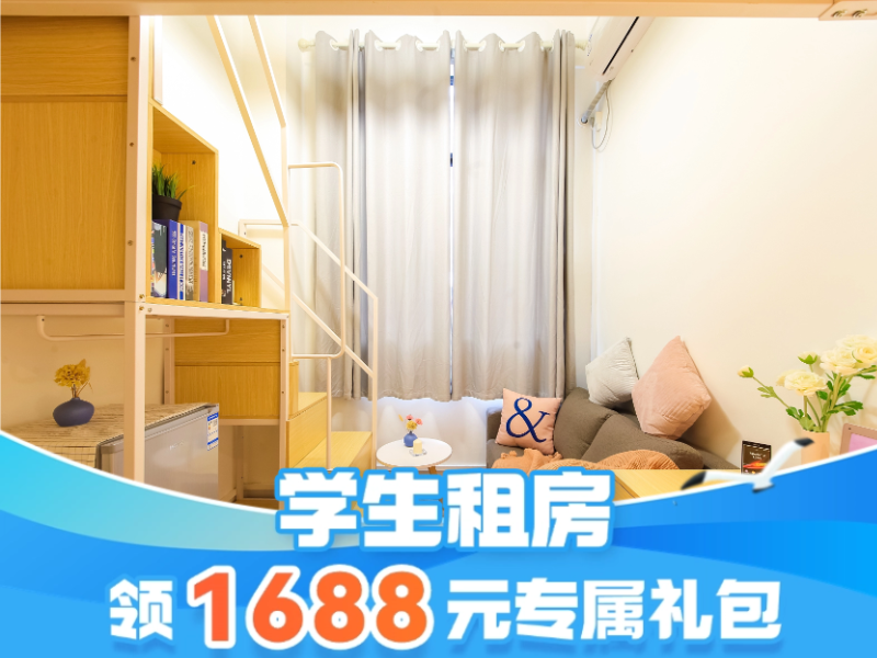 标准幽雅loft
