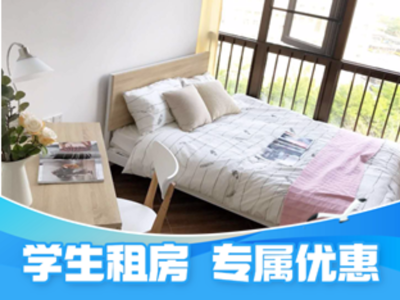 标准阳光单间Z