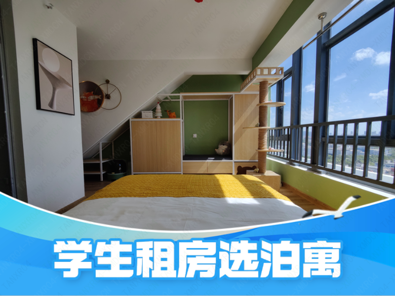 标准阳光宠物单间