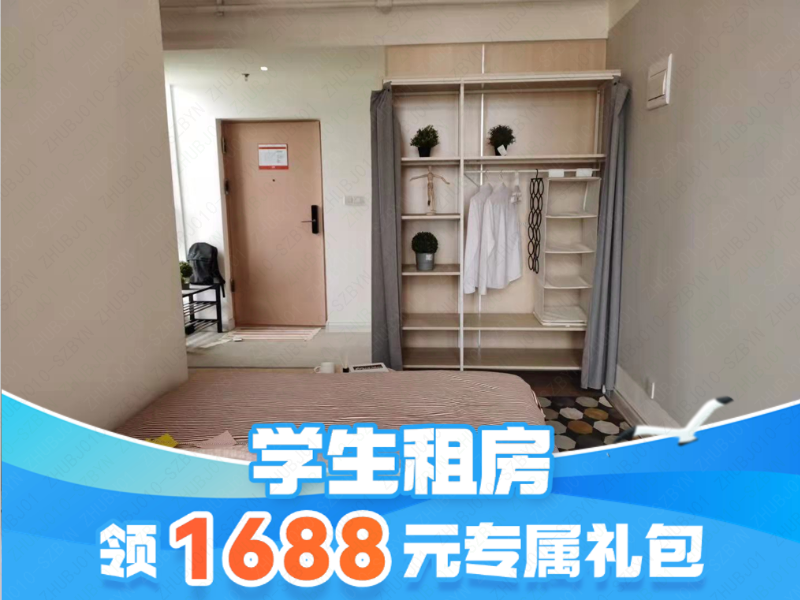 标准阳光单间