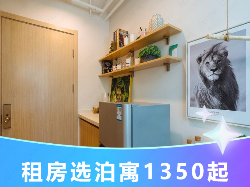 标准阳光单间
