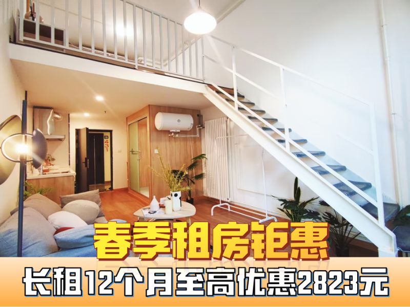 优选阳光精致loft