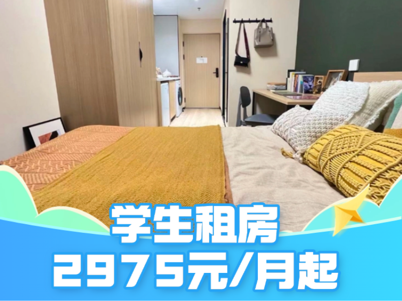 标准阳光单间