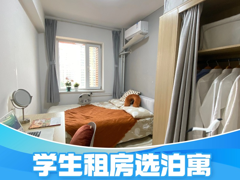 标准阳光单间新