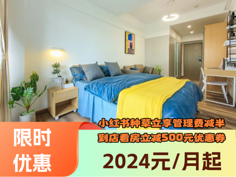标准阳光单间