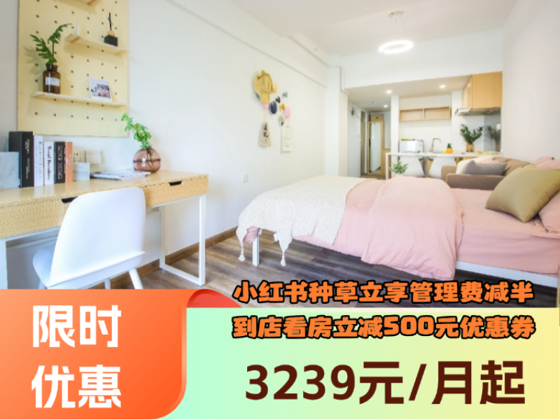 优选厨房精致大单间E