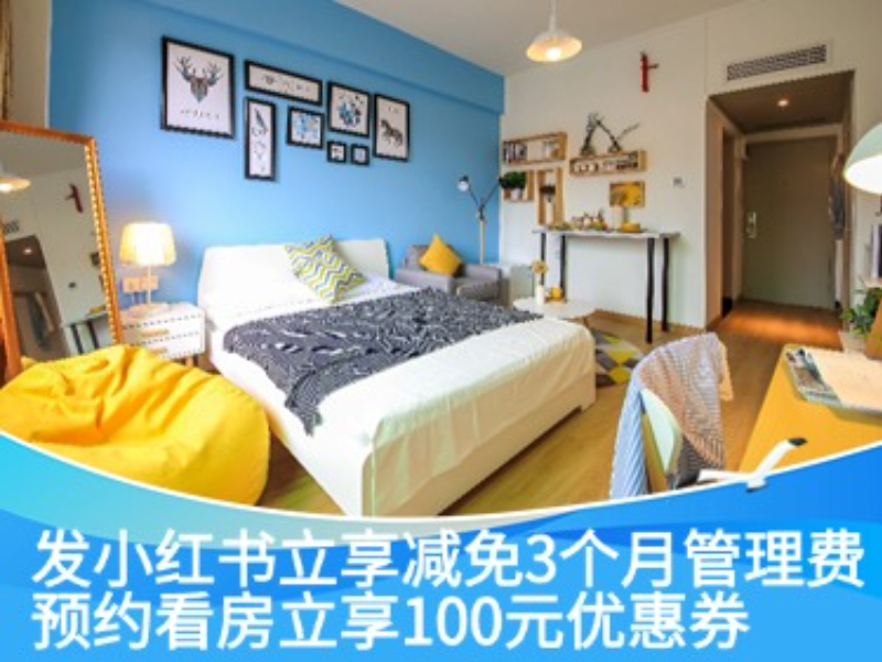 标准温馨小单房