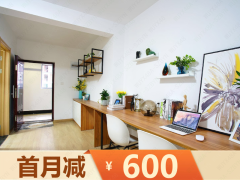 标准阳光两房·泊寓-桃园路店